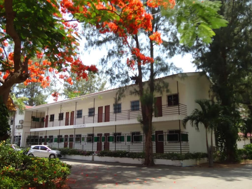 Villa Navin Resort - photo 1
