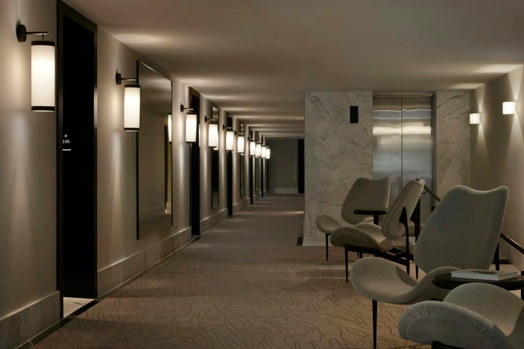 The Lyall - photo 15