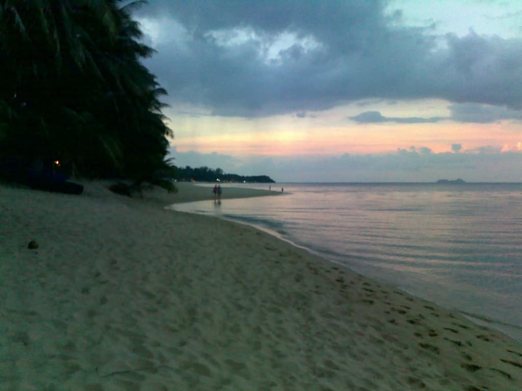 Palm Point Village - photo 10