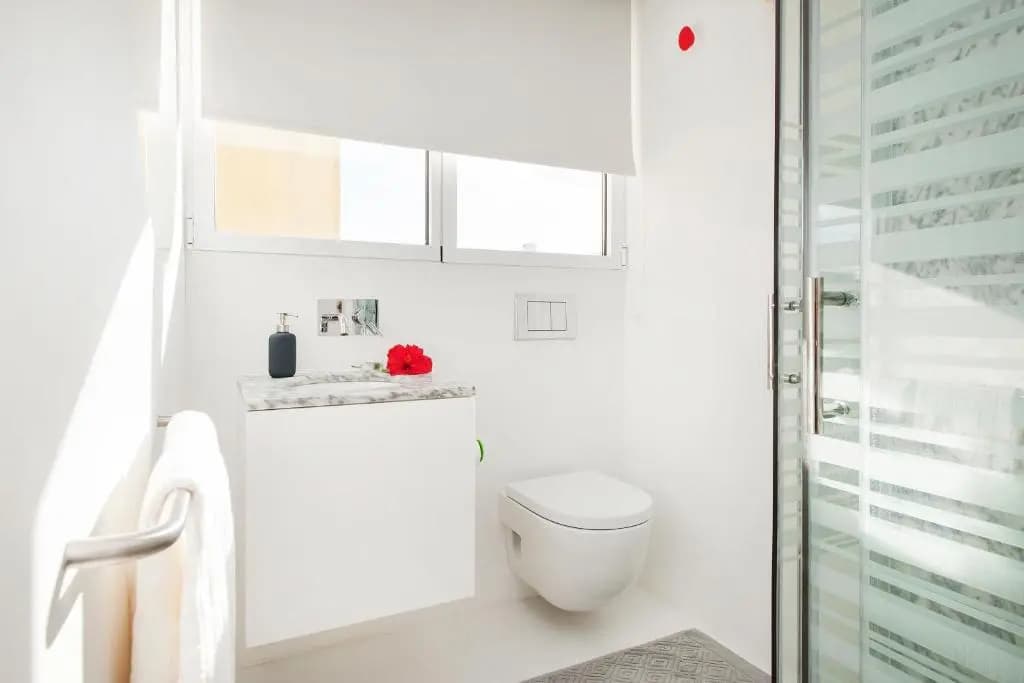 Belem Apartment with Terrace - photo 9