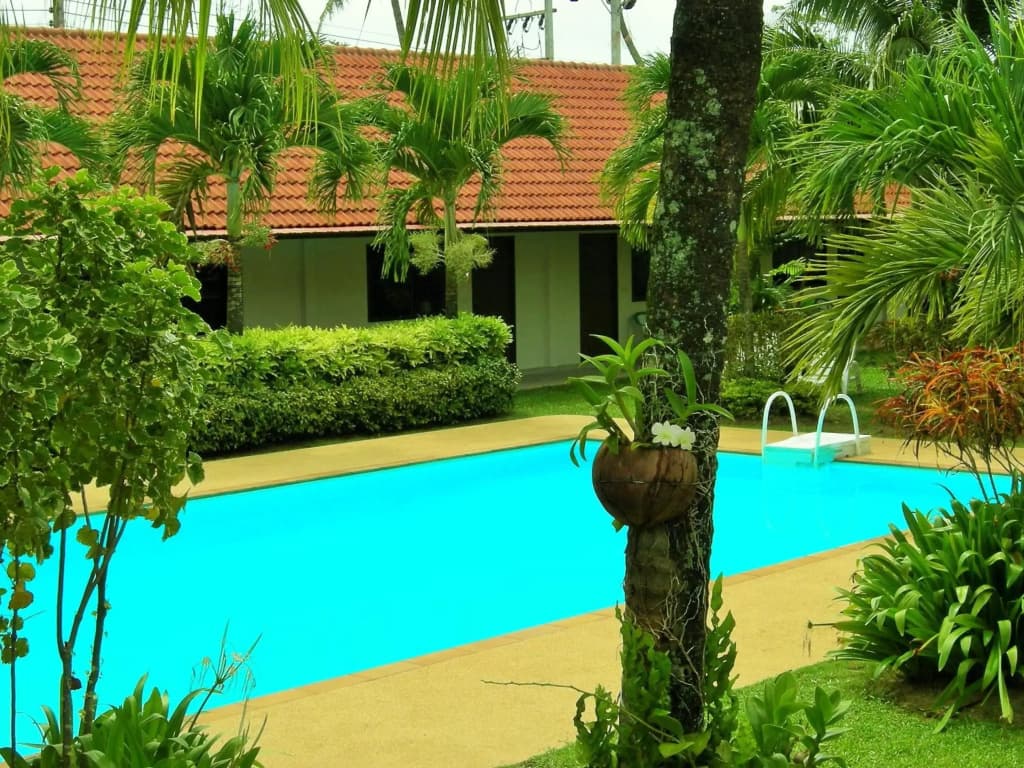 The Gold-Digger's Resort - photo 12