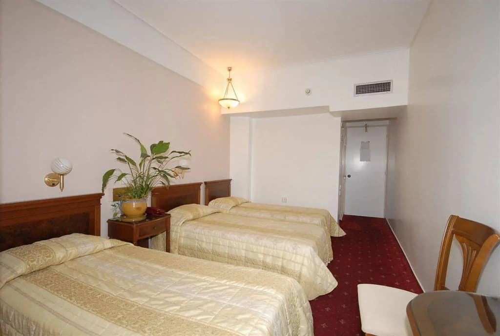 Balasca Hotel - photo 3