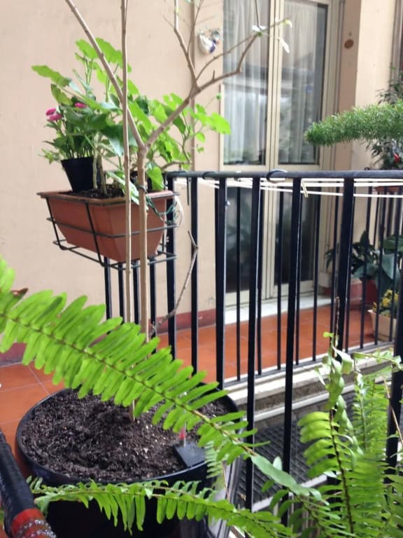 Hotel Boccaccio - photo 11