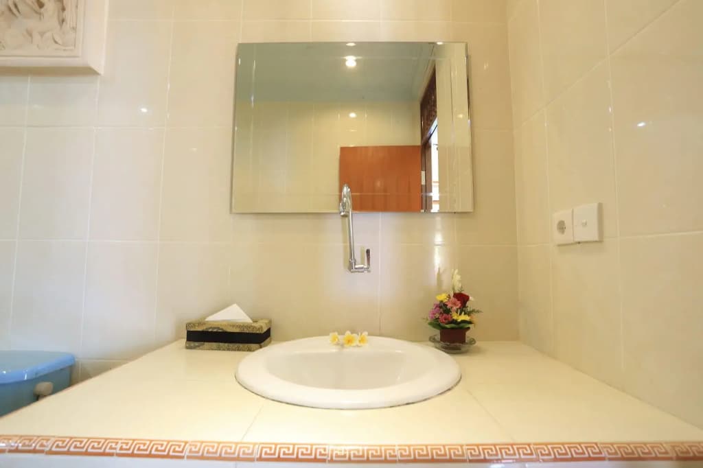 Sagitarius Inn - photo 29