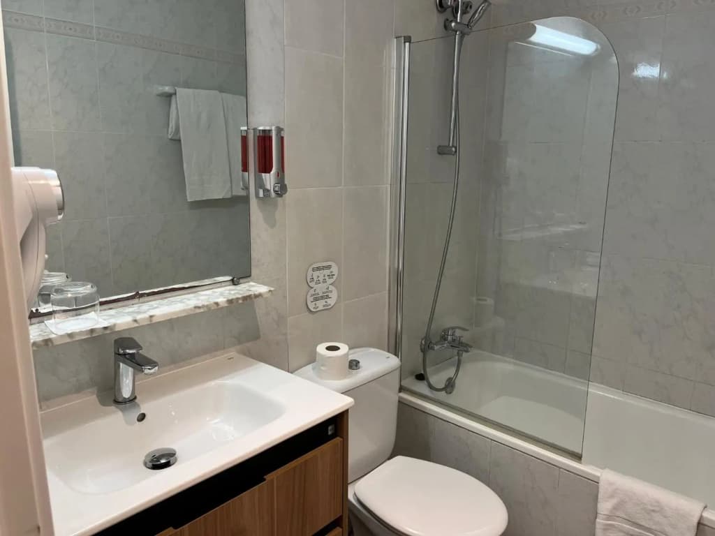 Aneto Hotel - photo 9
