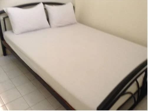 Chart Guesthouse - photo 4