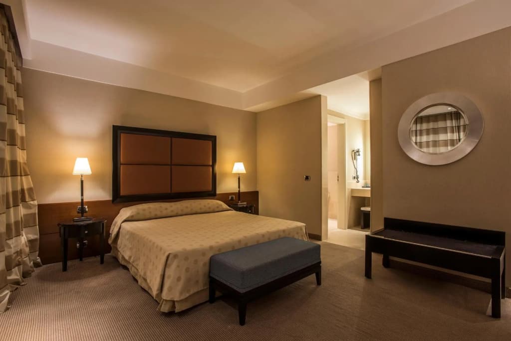 Ergife Palace Hotel - photo 6