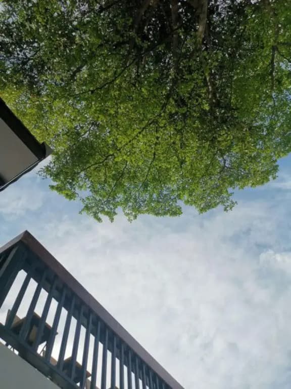 Hotel AONO - photo 10