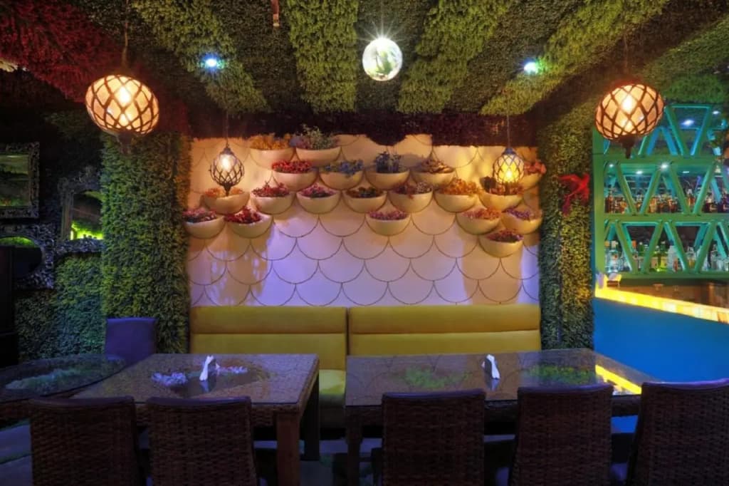 Hotel Jageer Palace - photo 3