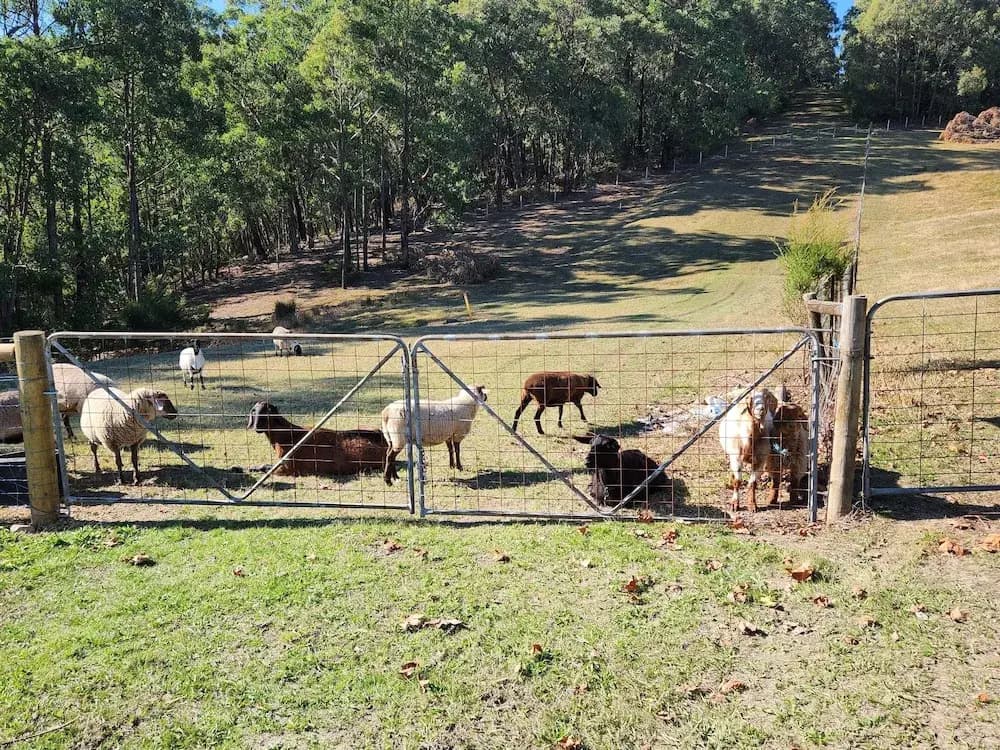 Valley Views BNB - photo 9