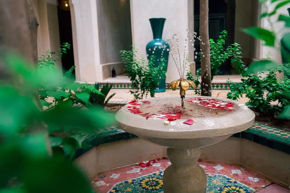 Riad Dar Zaouia - photo 25