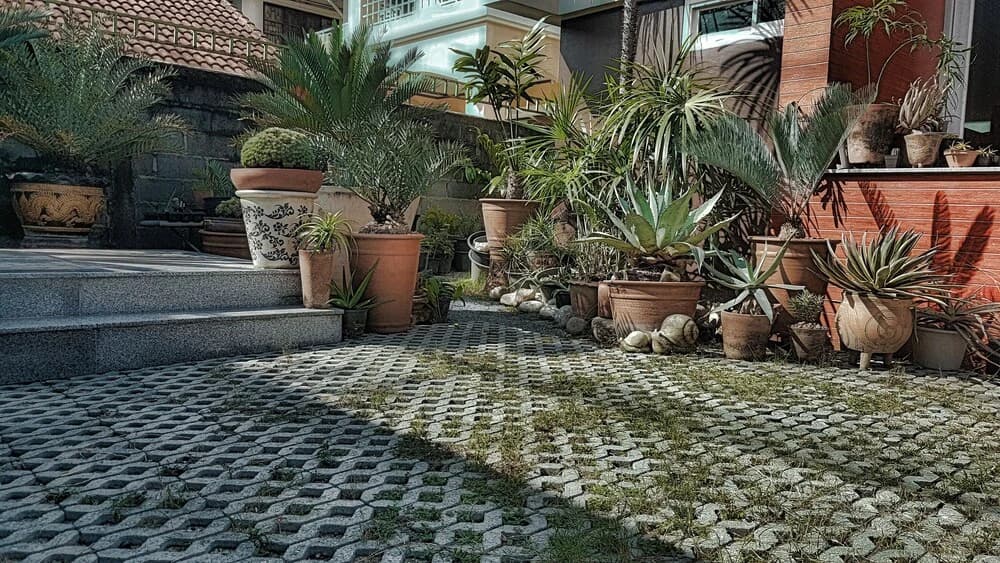 Fu Suvarnabhumi - photo 14