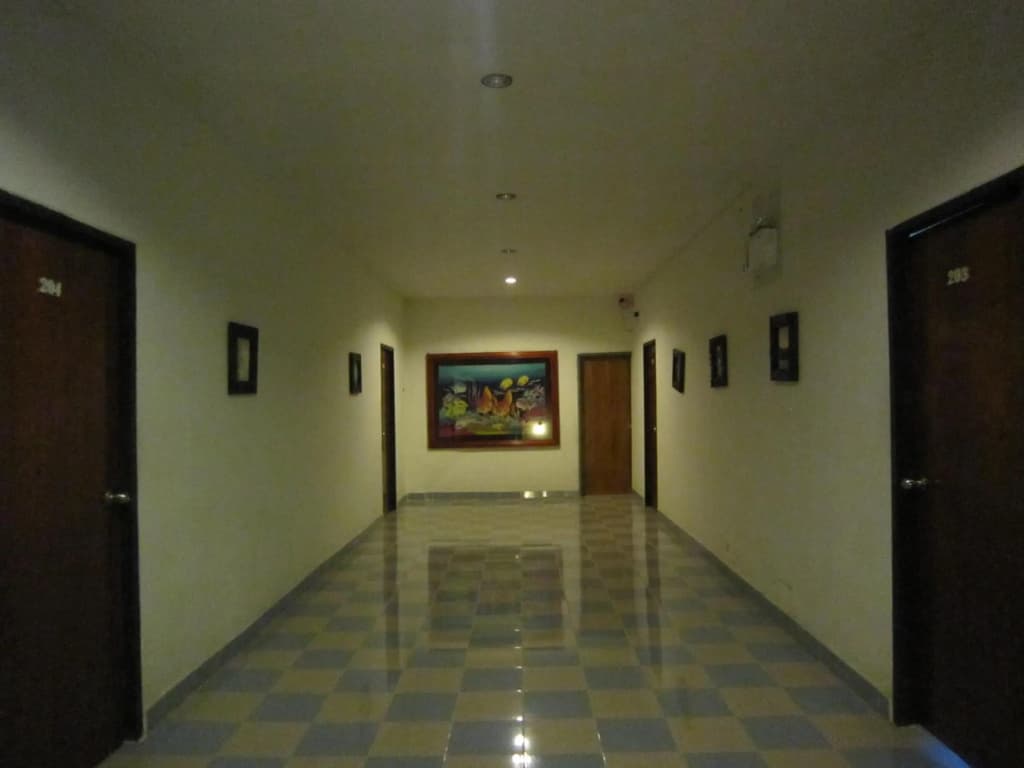 PK Mansion - photo 30