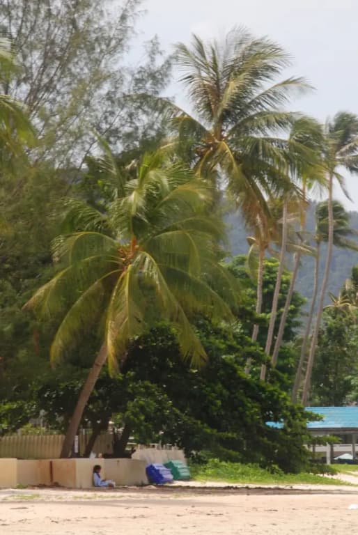 Laura's Guest House - adult only - - photo 27
