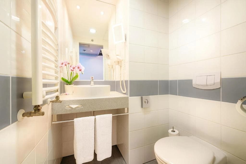 CZECH INN Hotel Ferenc - photo 8