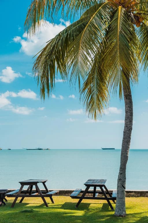 Shah's Beach Resort - photo 21