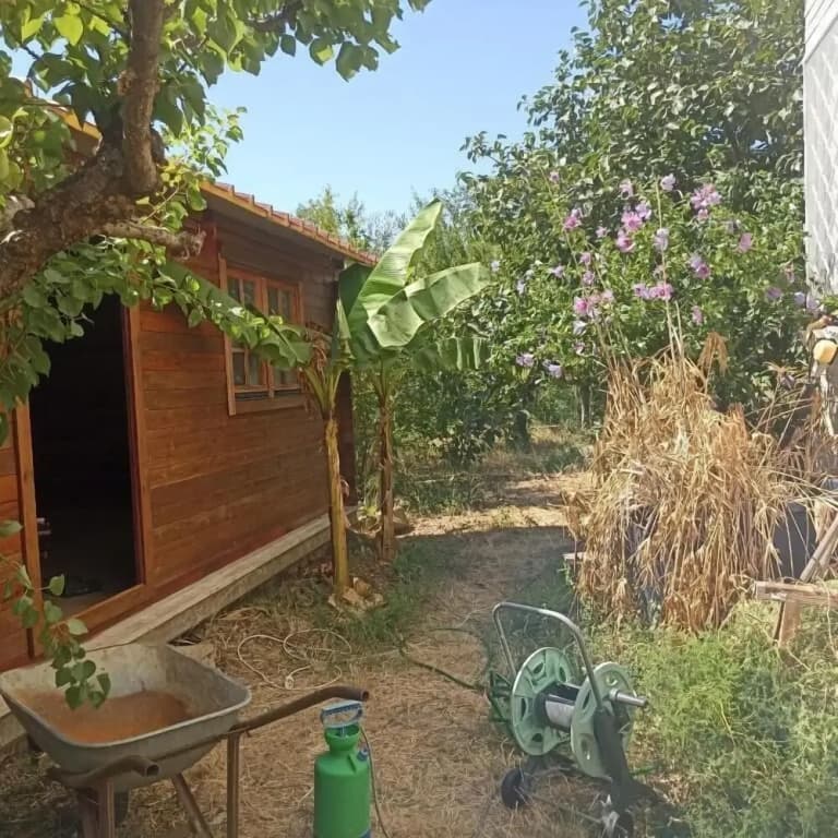 Ripe's Forest Garden Guest House - photo 12