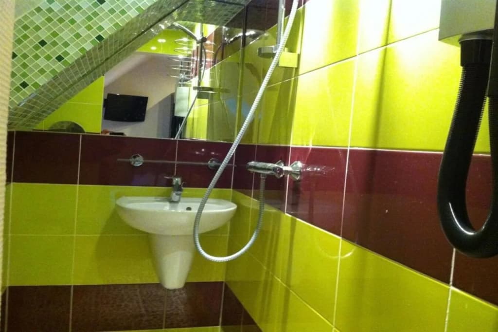 Hotel Mimosa - photo 22