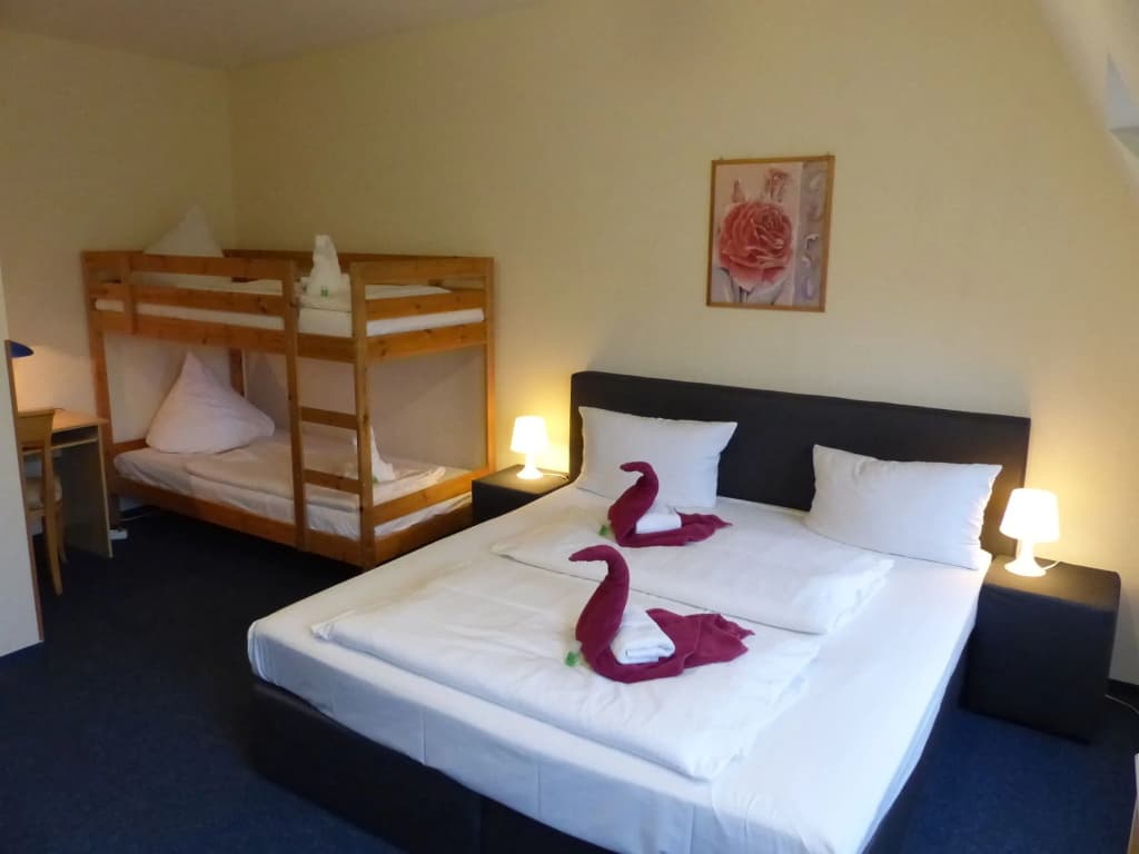 Hotel Comenius - photo 5