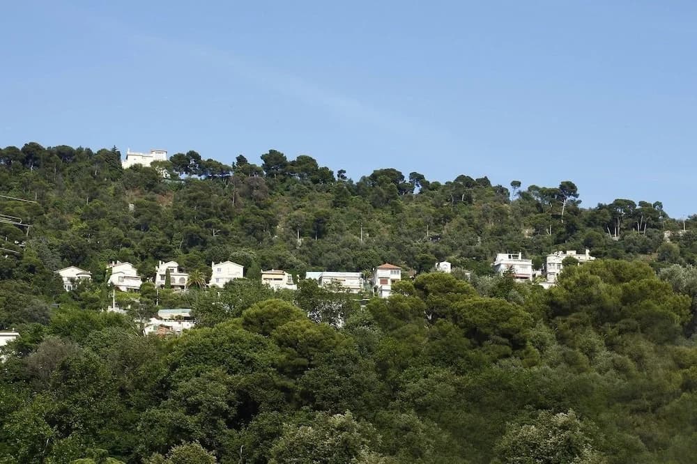 MyNice Les Iles d'Or - photo 9