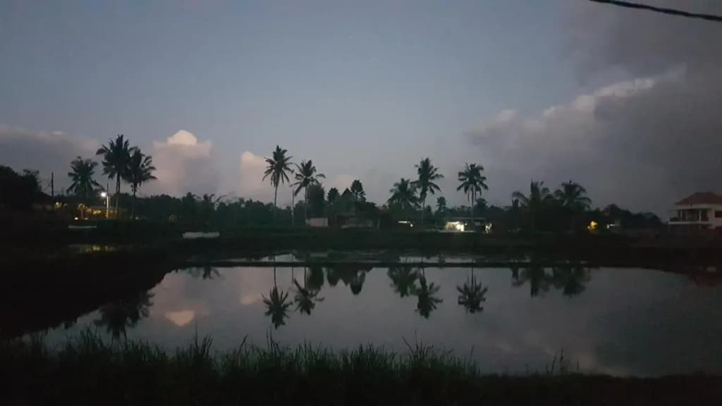 Srijaya Ubud - photo 21