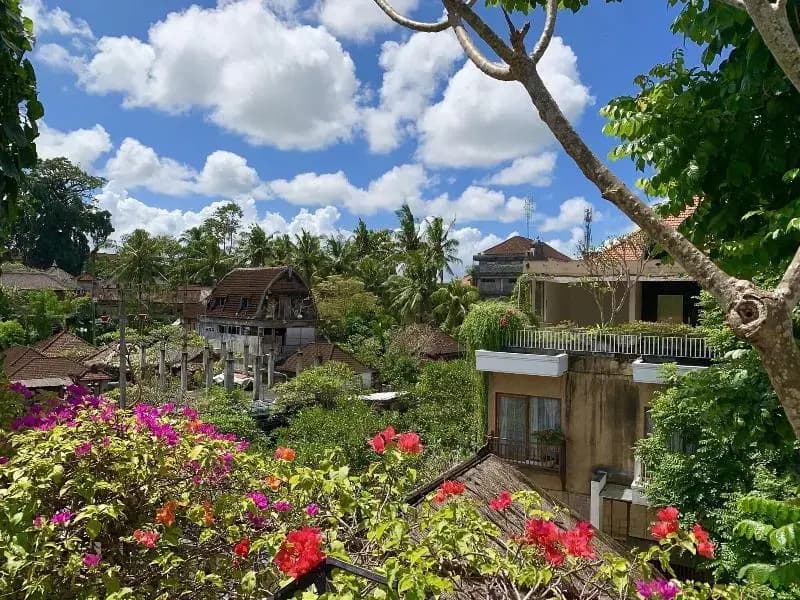 Avilla Ubud - photo 14