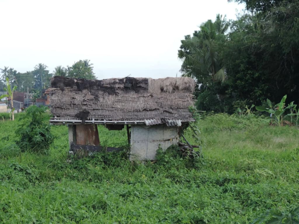 Duana Homestay - photo 12
