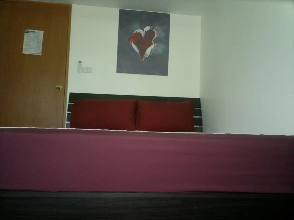 Joe Palace - photo 2