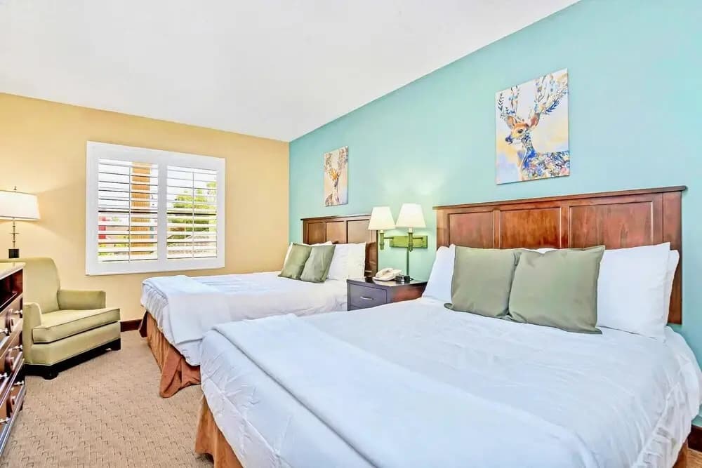 1BR Two Queen Beds With Pool and Hot Tub - photo 5