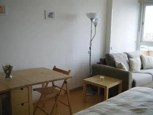 Madrid Studio Apartments - photo 4