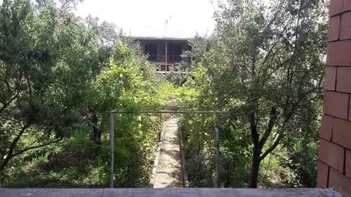 Gold house - main photo