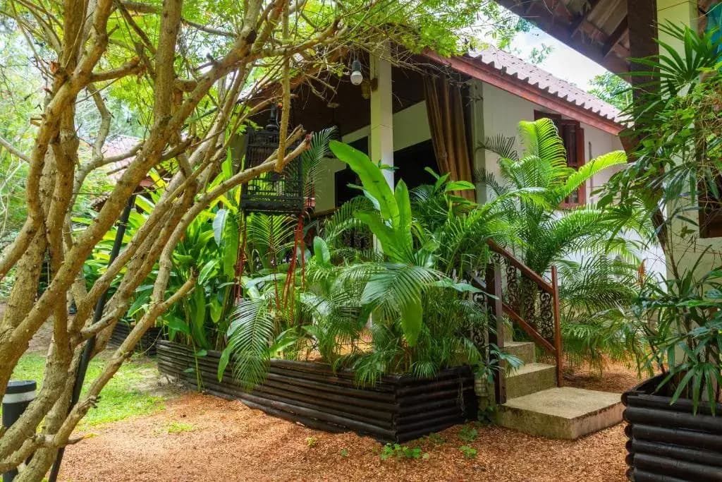Alcove Bungalow - photo 4