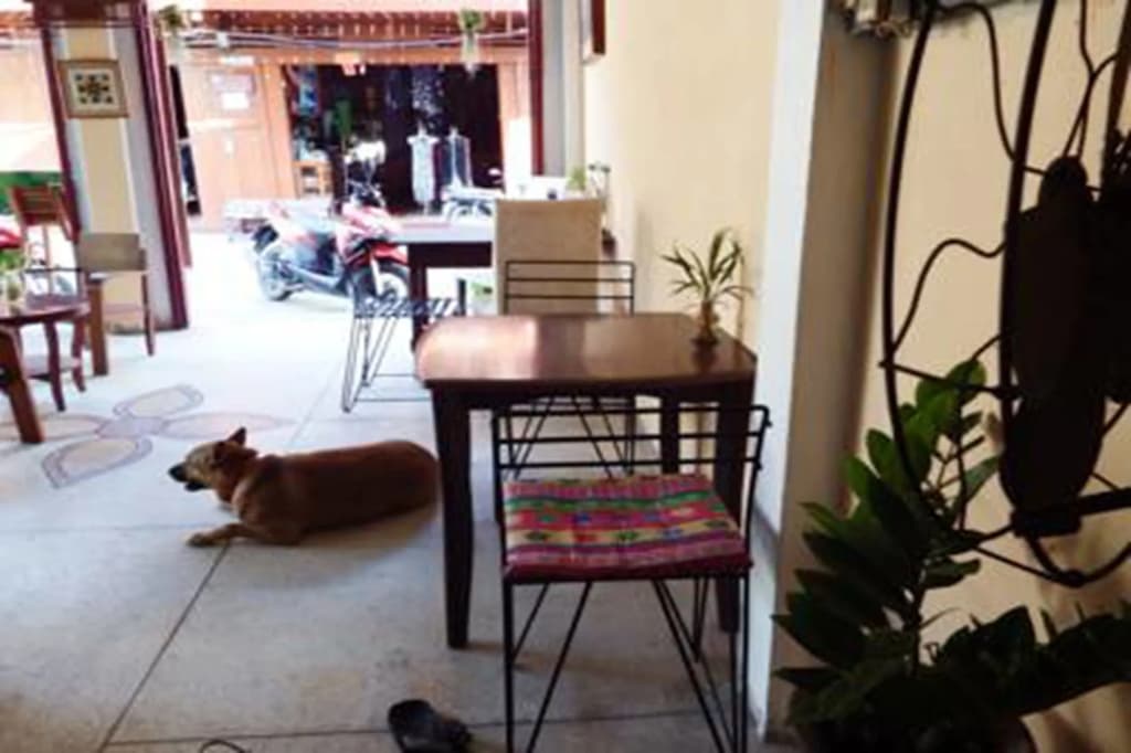 Taya's place - photo 19