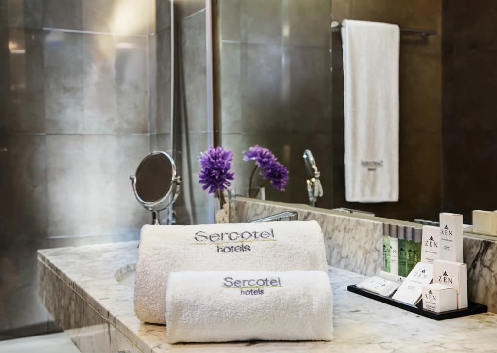 Sercotel Amister Art Hotel - photo 6