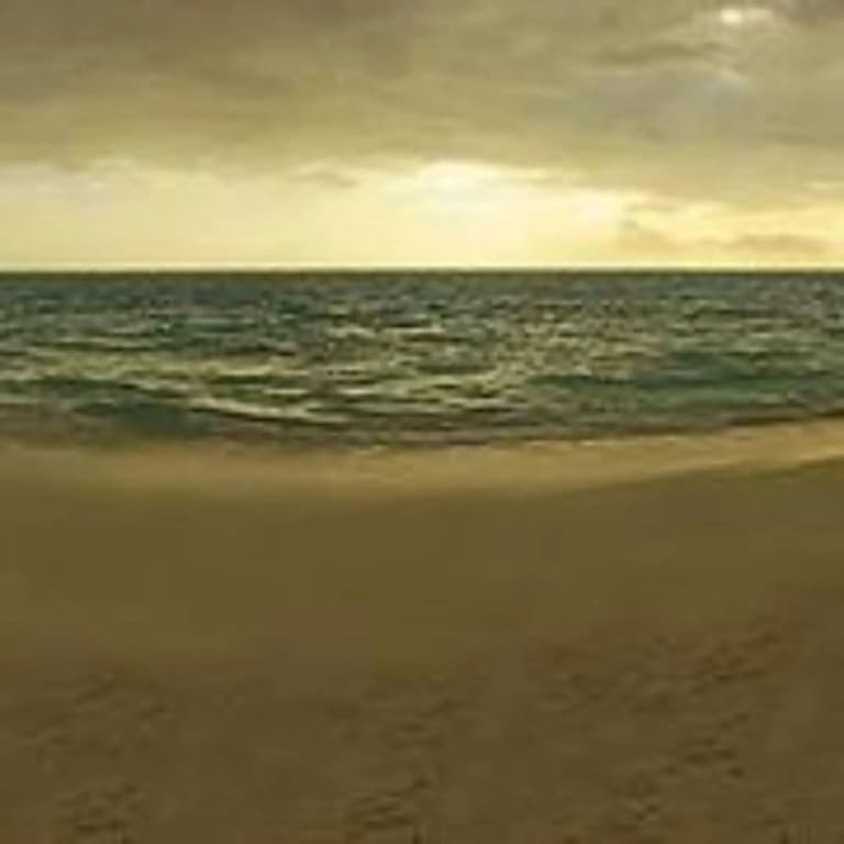 Thoddoo Ocean Front - photo 4