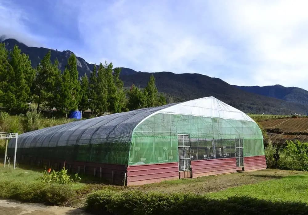 Mesilau Mountain Retreats - photo 18
