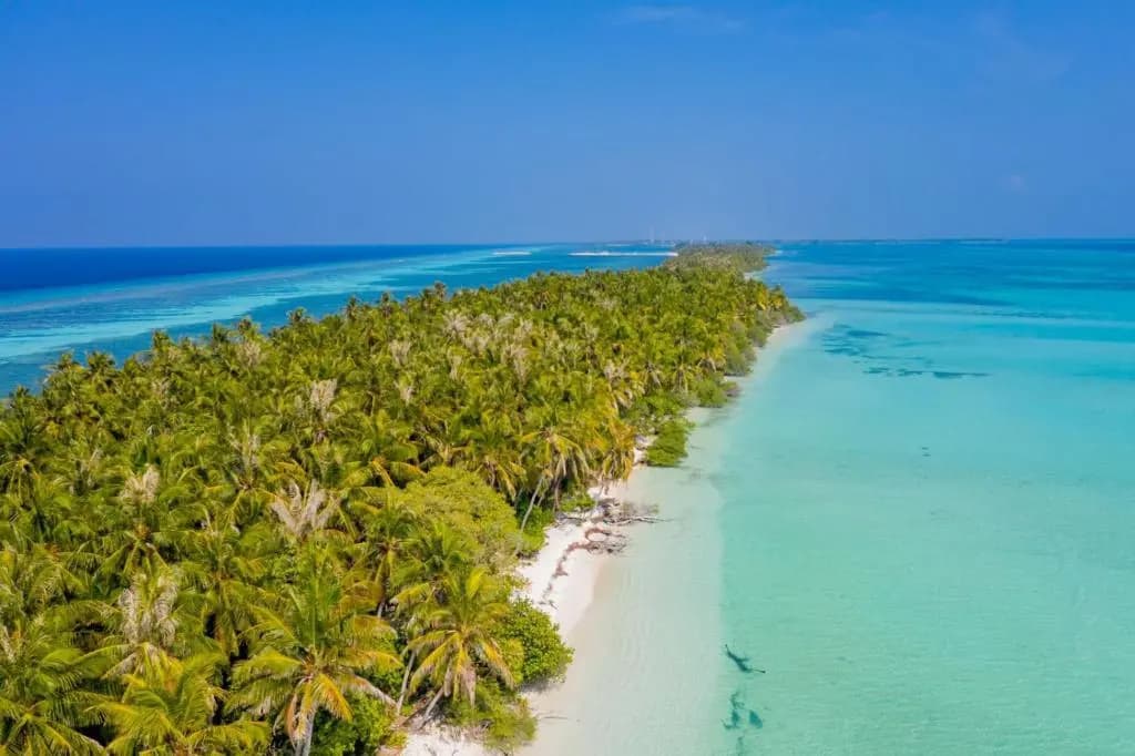 Fehendhoo Stay - photo 2
