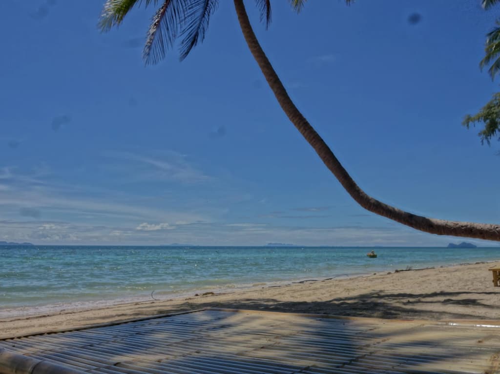 Silvermoon Beach & Jungle Resort - photo 8