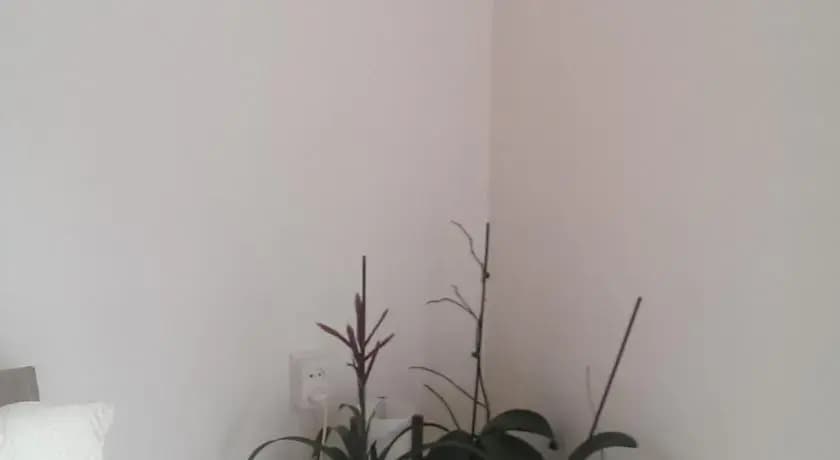 Roses Garden - photo 10