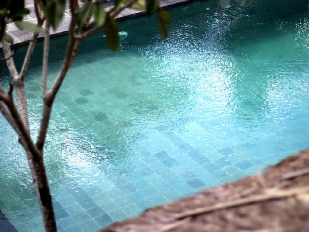 The Calmtree Bungalows - photo 10