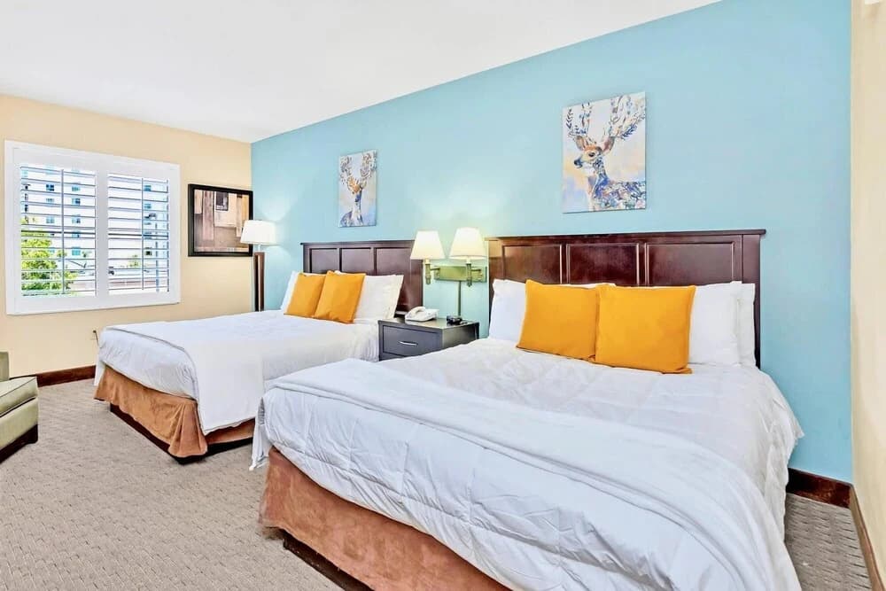 1BR Suite With Two Queens Pool and Hot Tub - photo 4