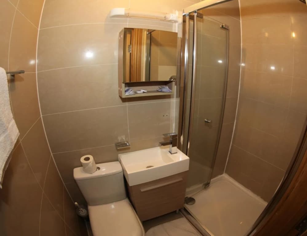 Brit Hotels Earls Court - photo 8