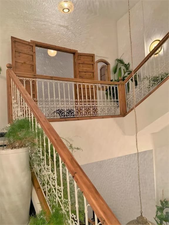 Riad Beni Youssef - photo 36