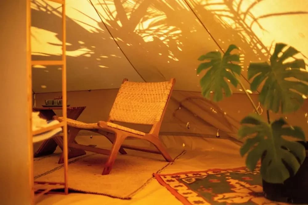 The Maverick Surf and Dive Boutique Hotel - photo 8
