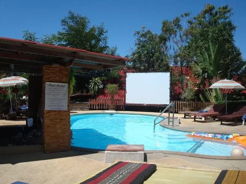 Tropical Garden Lounge - photo 7