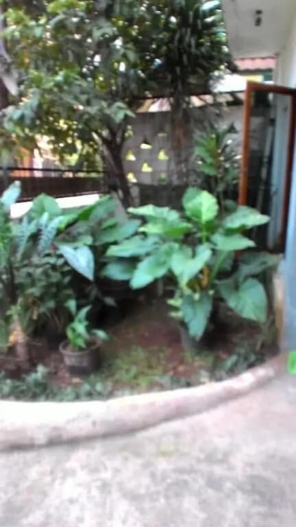 Rumah Kost - photo 16