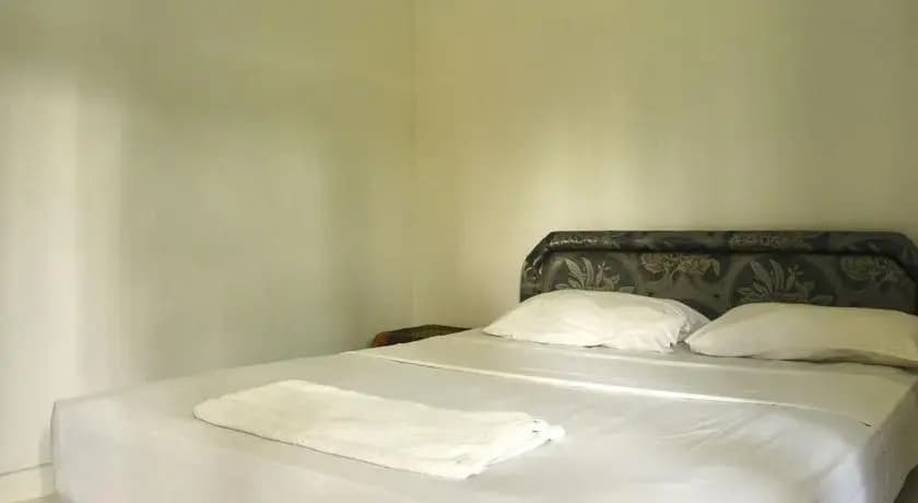 Ned's Hide-Away - photo 6