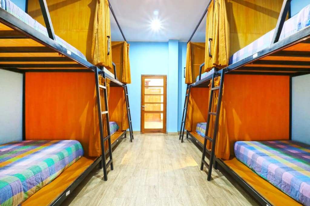 New Ubud Hostel - photo 3