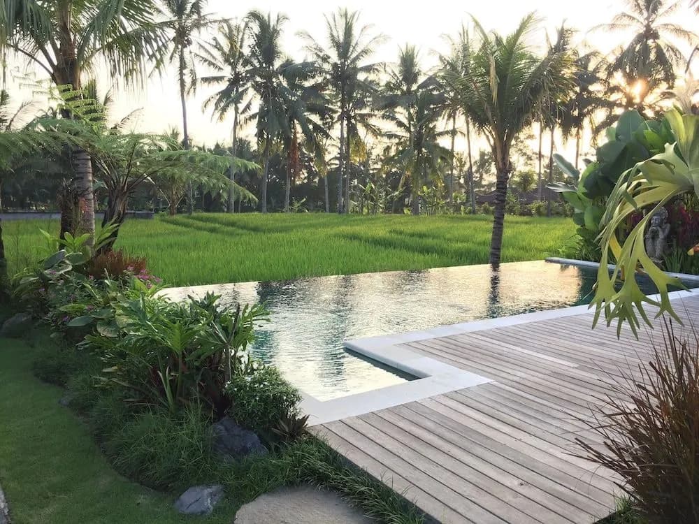 The Suris Ubud - photo 14