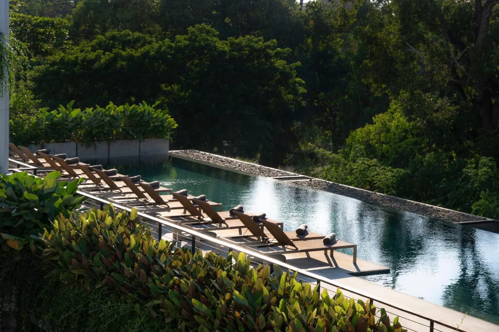 Treeline Urban Resort - photo 22